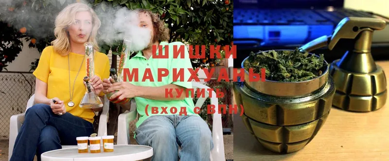 купить наркотики цена  Ярцево  Конопля SATIVA & INDICA 